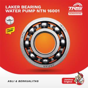 TRS Laker Bearing Water Pump Ntn 16001 Viar 150cc 200cc 300cc Tossa Kaisar Top Quality Spareparts Original TRS SEMARANG