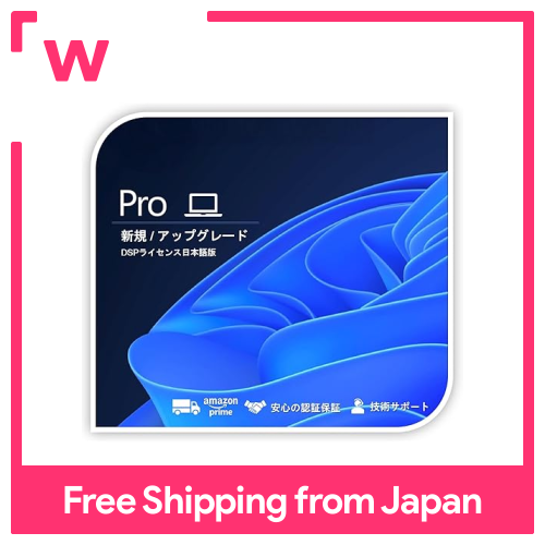 windows 11 pro dsp version