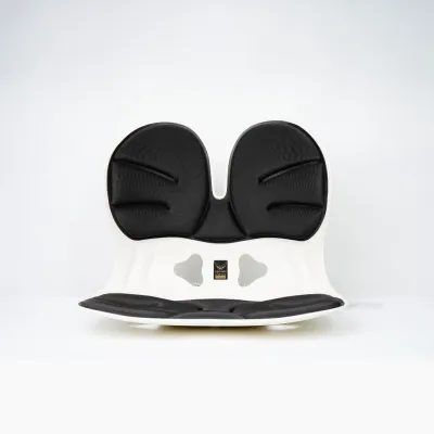 ERGOWORKS Angel Luxe Chair - Premium Posture Correction Seat | Orthopedic Back Support for Office & Home