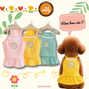 váy đầm hoa cúc cho chó mèo - T3 PETS SHOP
