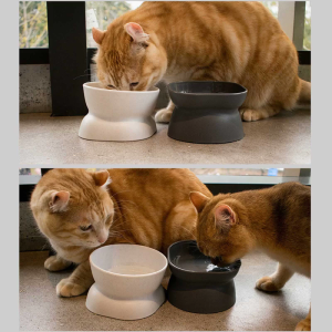 for Cat Bowls Elevated for Cat Bowls for and Water with Base Stand Bowl 10° Raised Single Bowl