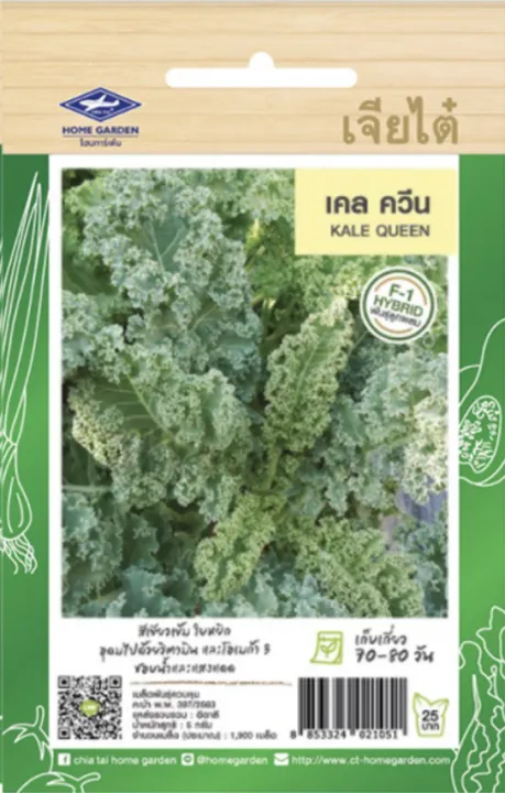 เมล็ดพันธุ์คะน้าใบหยิก ผักเคลควีน เจียไต๋ ใบหยิกสีเขียว