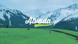 Alvada  Warm Wool Socks Winter Moisture Wicking Breathable plaid Boot Socks