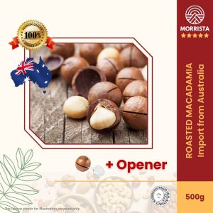 Australia Macadamia 500g Roasted Macadamia Nuts in Shell 澳洲坚果