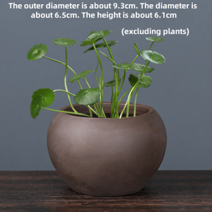 Copper Money Grass Water To Raise Green Dill Desktop Hydroponic Desk Purple Sand Flowerpot Ceramic Size Flowerpot Non-porous Special Utensils Without Plants