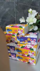 【12 Packs】Facial Tissue Table Napkins Tissue Face Friendly Friendly Soft Affordable Paper Towel 3 Types Of Packaging