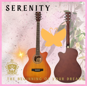 Serenity Beginner Acoustic Guitar Satin Sunburst Free Bag Strap Capo Pickcase pick Tuner