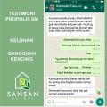 Rekomendasi Obat Gonore, Obat Gonore Obat Gonorer, Obat Jamu Gonore, Obat Gonore Di Apotik Umum, Obat Gonore Berdarah, Obat Herbal Propolis SM Brazil Bertestimoni. 
