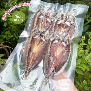 ปลาทูแขกแดดเดียว ปลาแดดเดียว ของดีตลาดนัด