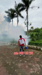 Máy phun khói diệt sâu bệnh cho cây trồng và vật nuôi FS70