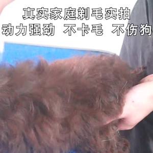 AU Factory direct supply of rechargeable cat clippers pet electric clippers and dog grooming clippers electric clippers