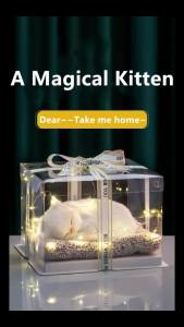 Gift  Cat Dog Cute Gift Birthday Gift Friendship Valentine Gift Girlfriend Gift Kids Gift Beauty Gift Birthday Gift for Sister Cat Gift 情人節禮物哈士奇仿真动物