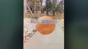 Embossed Flooring Mold   L-Shaped Brick   Small Brick Press Mold for Cement Floor Embossed Floor Mold Embossed Floor Material