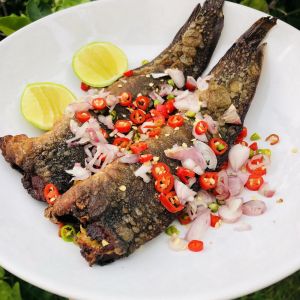 ปลาดุกร้า 500 กรัม ปลาดุกร้าสะอาด ปลาดุกร้าปากพนัง