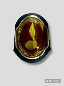 Ring hasduk gerakan pramuka fiber