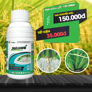 Phân bón lá Nakawa Plus 500ml ra rễ mạnh đẻ nhánh tập trung tăng chồi hữu hiệu