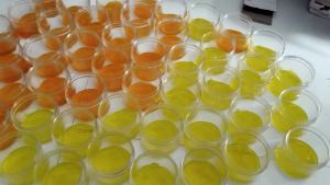 Serum collagen khử đen ( có thuốc kích trắng) 500gr -1000gr