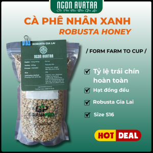 Cà Phê Nhân Xanh Robusta Honey Ngon Avatar Coffee Chọn Lọc Trái Chín Hoàn Toàn S16 Chưa Rang