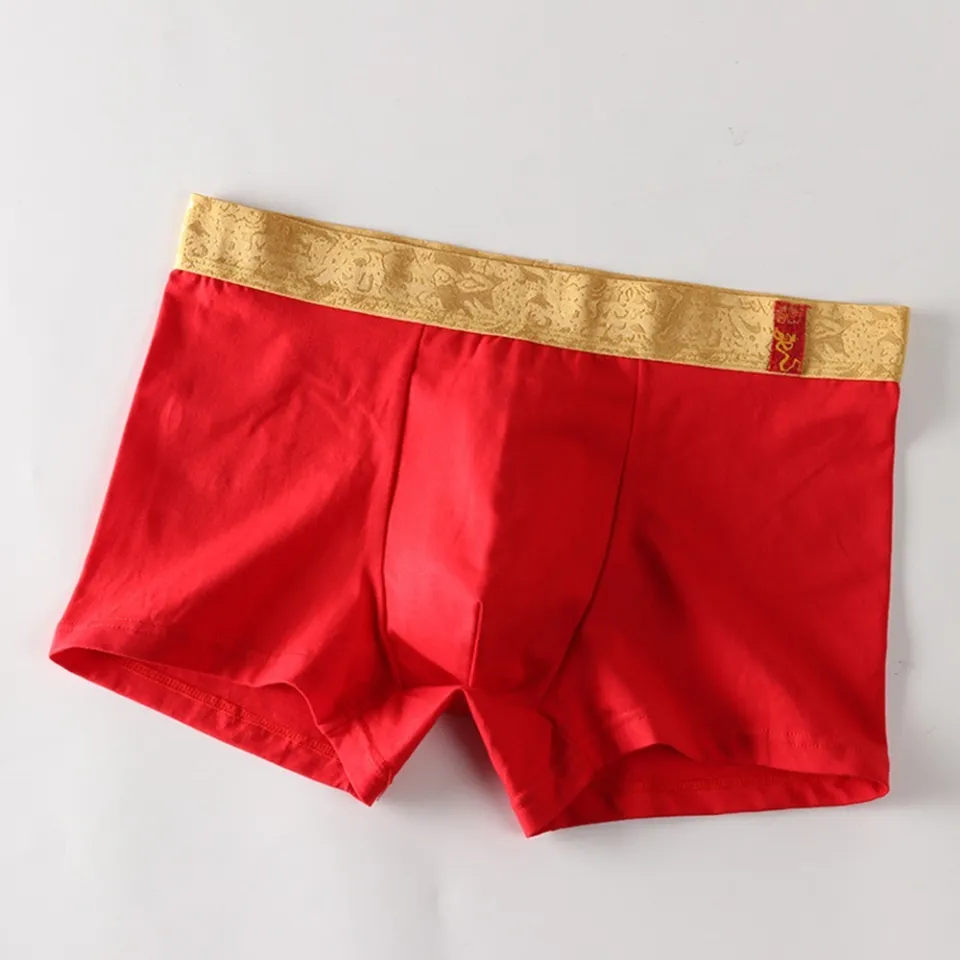 Loose Fit Dragon Print Men's Boxer Briefs Underwear Comfortable