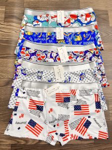 SET 5 CHIẾC QUẦN SỊP SU IN HÌNH HOT HIT