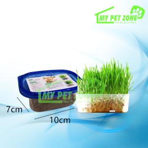 Love Heart Pet Grass Cat Grass Wheat Grass Set - Self Grow Kit / Rumput Kucing