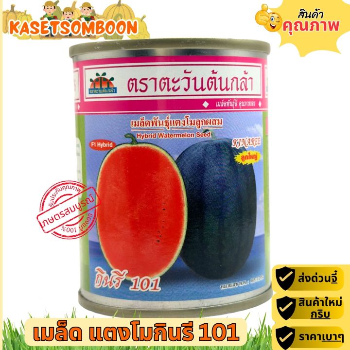 เมล็ดพันธุ์แตงโม กินรี 101 ลูกใหญ่ เนื้อแน่น