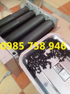 Máy vo viên DZ20 đủ các cỡ khuôn 6/8/10mm làm trân châu bột nghệ