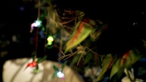 Lampu Hias Led Gantung Kerincingan Beranda Rumah Taman Tenaga Surya Matahari Solar Panel Bird Wind Chime Garden Lights Model. Burung