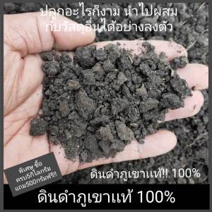 ใหม่!! ดิน ดินดำ ดินภูเขา แท้ 100% ดินดำหายาก ดินปลูก ดินผสมปลูกต้นไม้ ใช้นำไปผสมดินปลูก แร่ธาตุอาหารสูง ซื้อครบ 5 กก.แถมฟรี500กรัม ดินดำ ภูเขา ดินดำ ราคา - Lazada