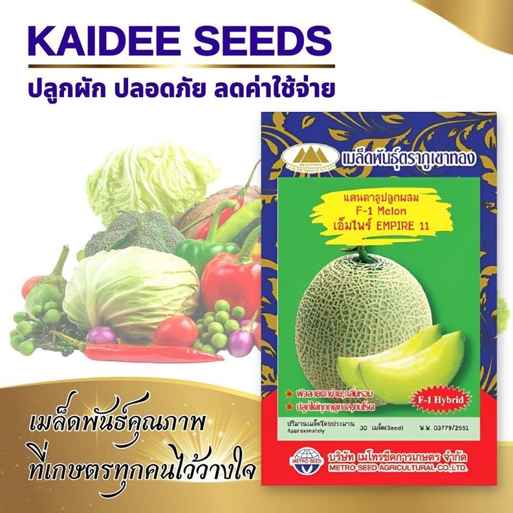 เมล็ดแคนตาลูป เอ็มไพร์ 11 ตราภูเขาทอง ทนโรค ปลูกได้ทุกฤดู