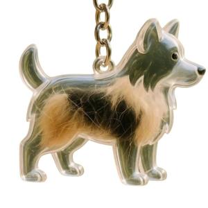 Clear Pet Memorial Keychain Plastic Pet Hair Holder Dog Furs Collector Keepsakes For Grieving Dog Owners Gift