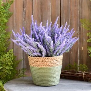Combo 6 Cành Hoa Lavender Giả Phủ Phấn Decor Phòng Hoa Oải Hương Trang Trí Tiệc Nhiều Màu 1 Cành 5 Nhánh Nhỏ