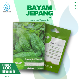 Benih Biji Bibit Bayam Jepang Horenzo "Spinach" Mix Garden Seed - 1 Pcs