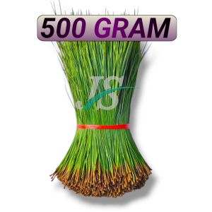 Daun Pinus Penes Segar 1.kgPetik Langsung Saat Ada Pesanan Masuk