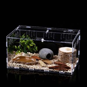 Transparent Acrylic Frogs Snakes Insect Feeding Box Container Reptile Incubator Hatching Terrariums Insect Supplies Breeding Box