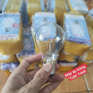 Bóng đèn sợi đốt 60W
