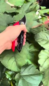 Kéo Cắt Tỉa Cành Cây WiseUp – Công Cụ Hoàn Hảo Cho Công Việc Làm Vườn