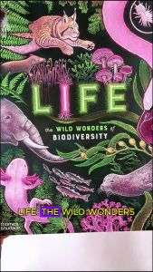 Life The Wild Wonders of Biodiversity | Hardcover | Thames & Hudson | Age 7+ | Science Picture Book | Nature & Animals | Birthday Gift Present Idea