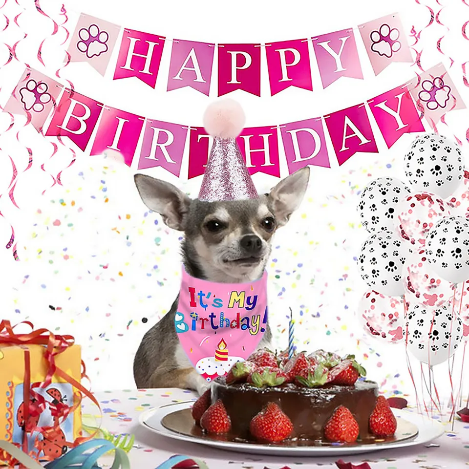 Pet Cat Dog Happy Birthday Hat Party Suit Soft Cap Puppy Headwear