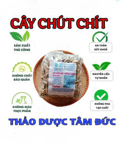 1kg cây chút chít sấy khô