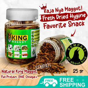 SEMPATI KING MAGGOT SUPER MAGOT MAGGOT KERING FRESH MAGOT MAKANAN PAKAN BURUNG SUGAR GLIDER SUGAR GLIDER