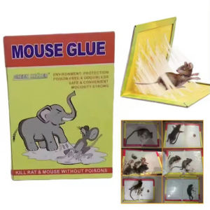 Strong Sticky Rat Mouse Glue Trap and board in Pest Control Household Pack