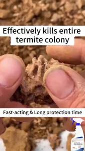 ✨100% termite killing✨Termite killer spray 500ml anay killer spray odorless termite spray for wood