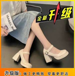 Free Shipping Waterproof Platform Barbie WomenS Shoes Spring New Collection Chunky Heel Ultra-High Heel Pumps WomenS Shoes JK-Style Small Leather Shoes