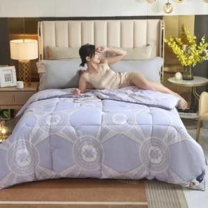【discount store】100% Cotton Printed Mulberry Silk Quilt 4 Season All-season Comforter Soft Breathable Spring Autumn Bed Quilt for Home
