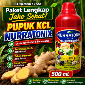 Pupuk KCL NURRATONIX 500ML – Perbanyak Umbi Jahe Lebat Tahan Penyakit Anti Jamur & Busuk Hasil Panen Maksimal