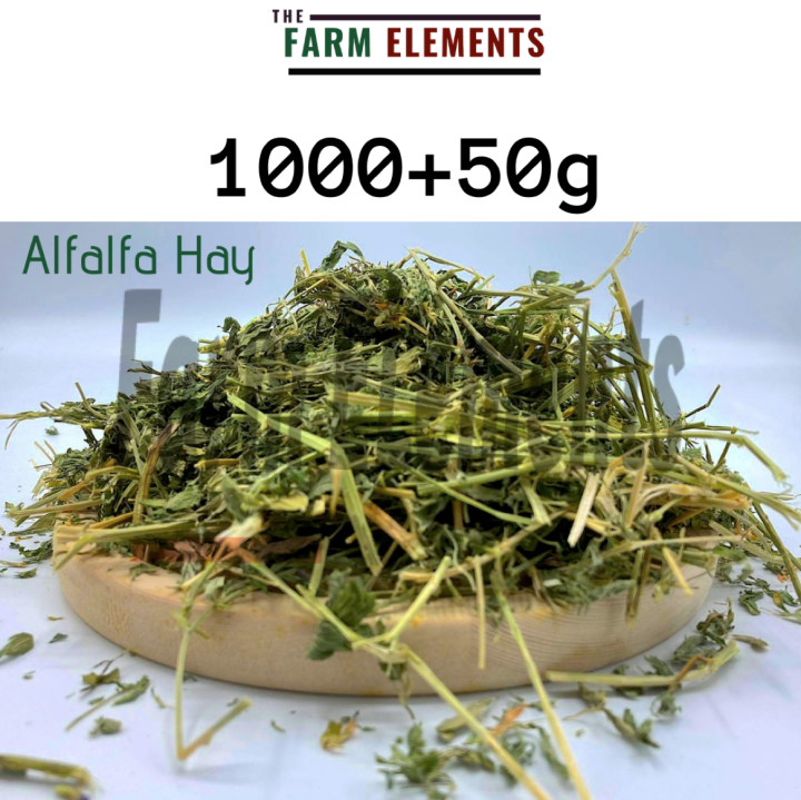 View of Alfalfa Hay (1.05kg) For Rabbits/ Guinea Pig/Chinchilla [DO NOT ACCEPT ...