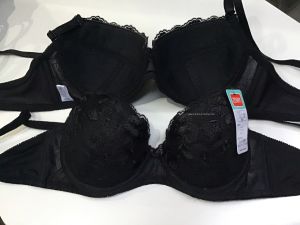 Combo 2 aó ngực ren không mút có gọng chính hãng AZNR hàng Việt Nam