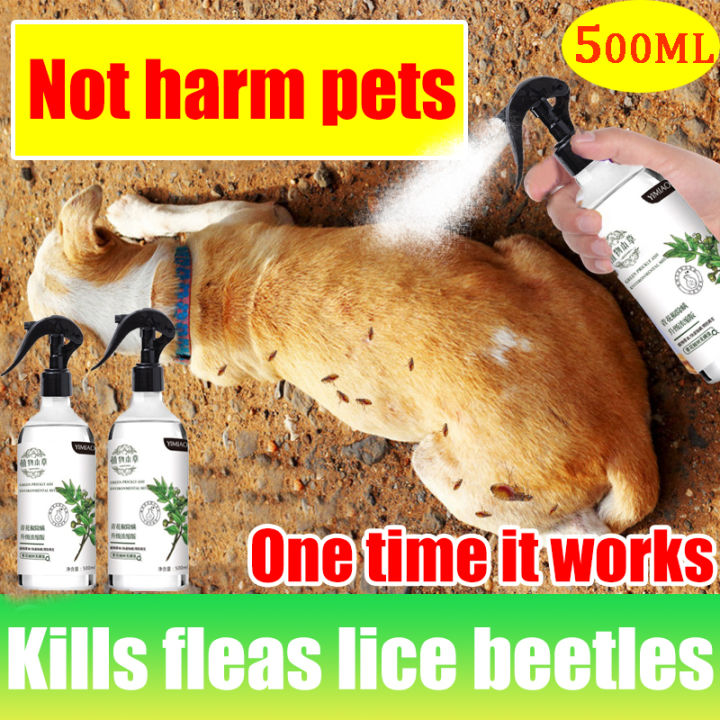 Tick and Flea Spray Anti Tick and Flea for Dogs 500ml Fast Effective