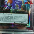 Thẻ bài yugioh Yuma Number 35 Ravenous Tarantula Tham Xác Đại Hắc Chu TẶNG Sleeves bảo vệ 1458 D7 13 89. 